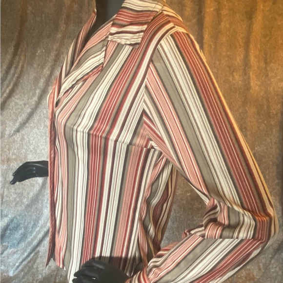 Mr. Stan Stripped Button Down Top - Picture 4 of 6